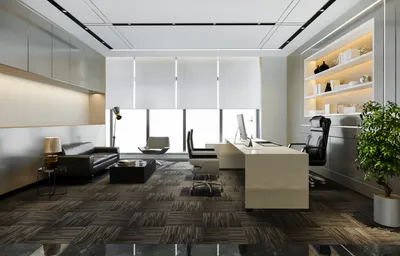 Functional Office Ecosystems