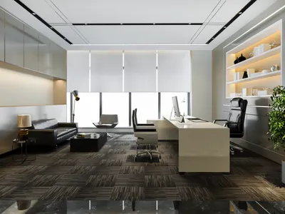 Functional Office Ecosystems